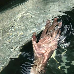 廖承宇《大雕》
